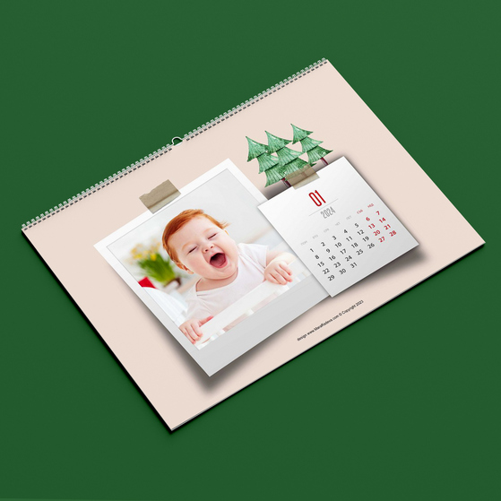 12 листов календар Polaroid baby